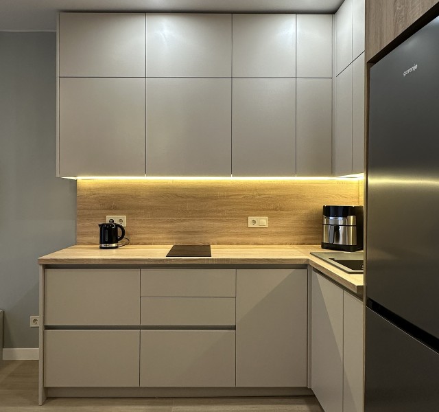 Кухня Брікс 24